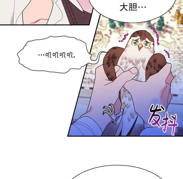 传令鸟公主殿下18话
