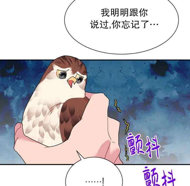 传令鸟公主殿下18话
