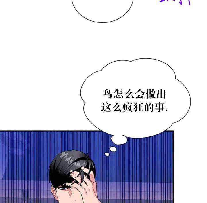 传令鸟公主殿下18话