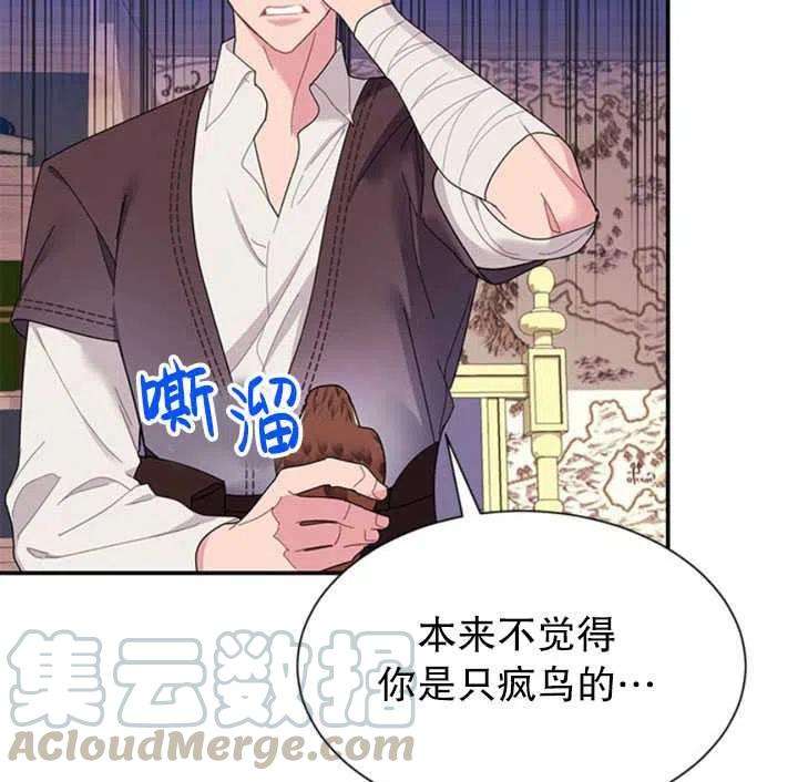 传令鸟公主殿下18话