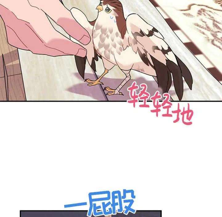 传令鸟公主殿下18话
