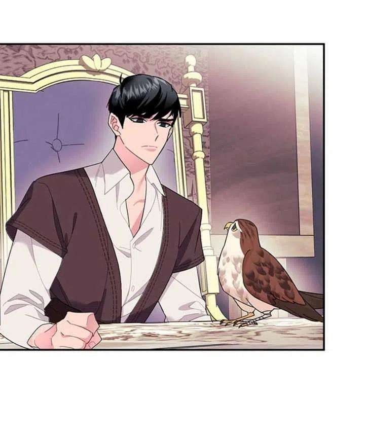 传令鸟公主殿下18话