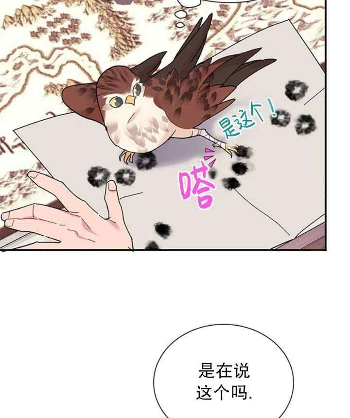 传令鸟公主殿下18话