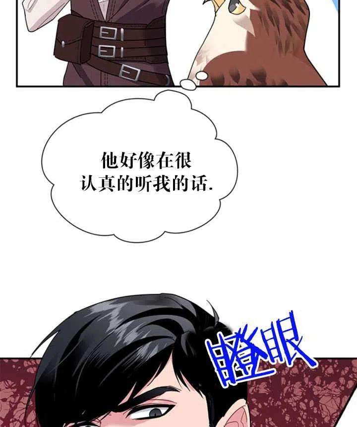 传令鸟公主殿下18话