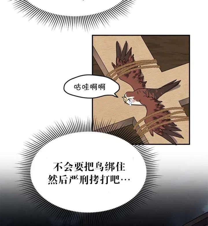 传令鸟公主殿下18话