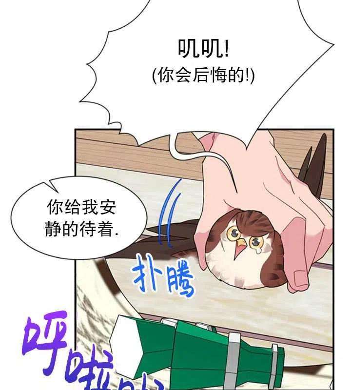 传令鸟公主殿下18话