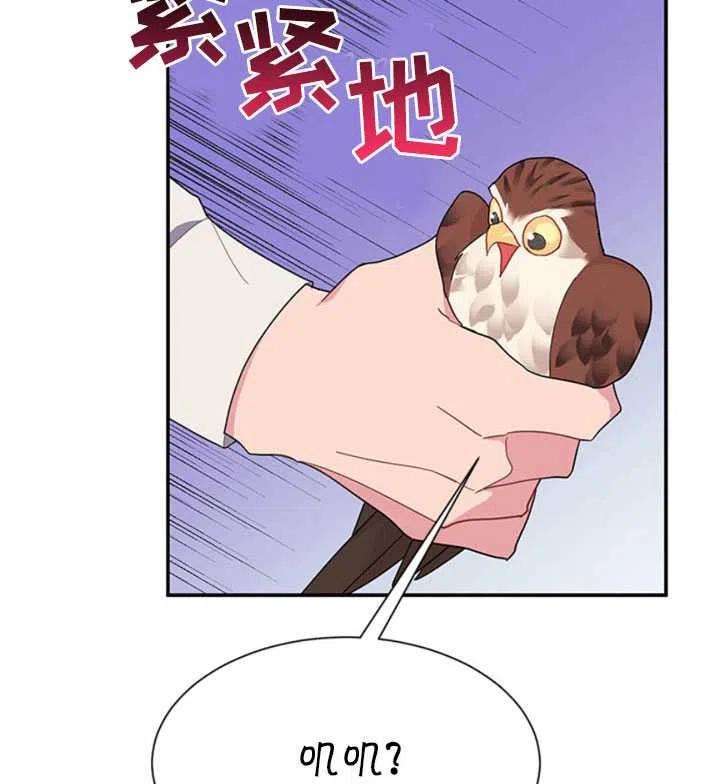 传令鸟公主殿下18话