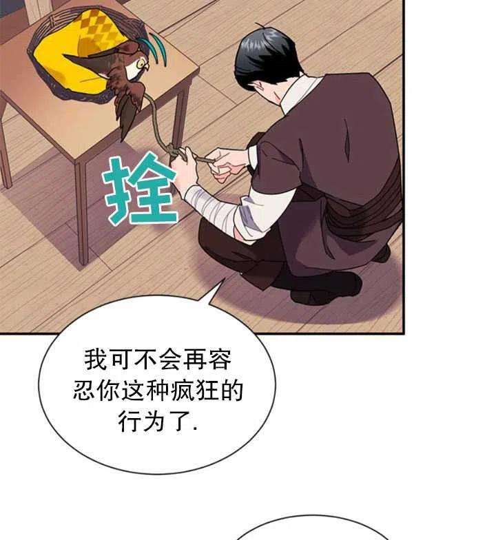 传令鸟公主殿下18话