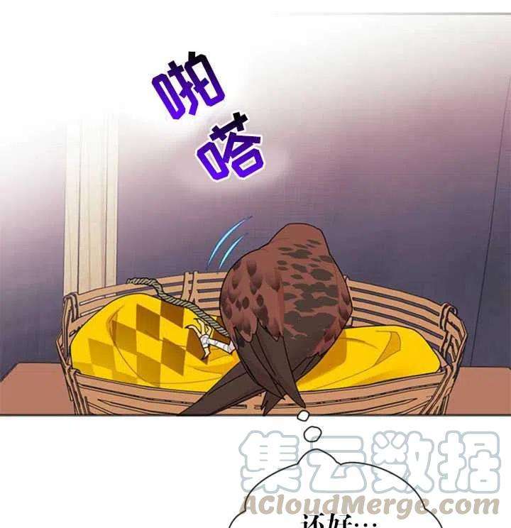 传令鸟公主殿下18话