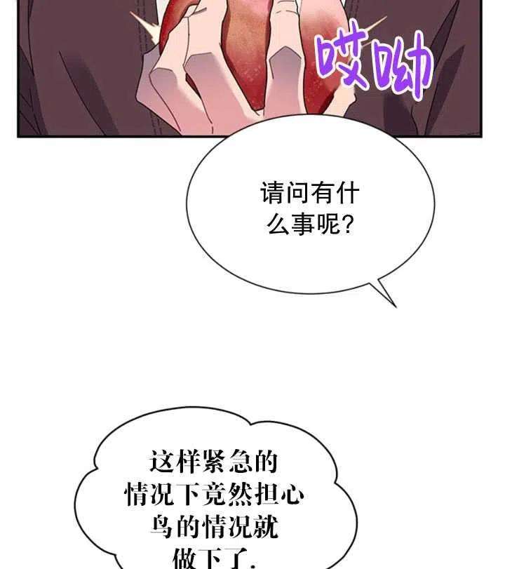传令鸟公主殿下19话