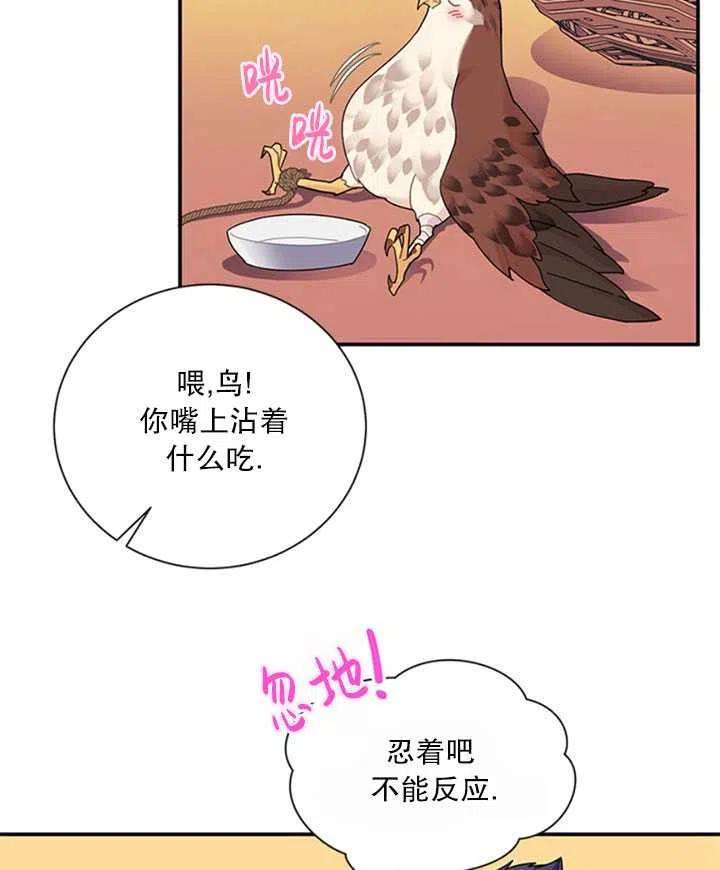 传令鸟公主殿下19话