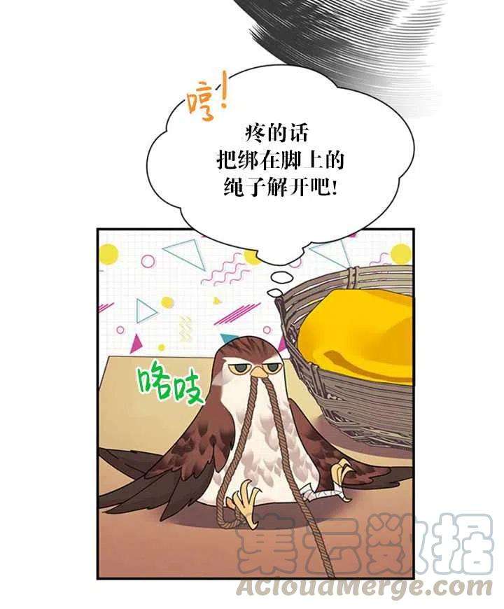 传令鸟公主殿下19话