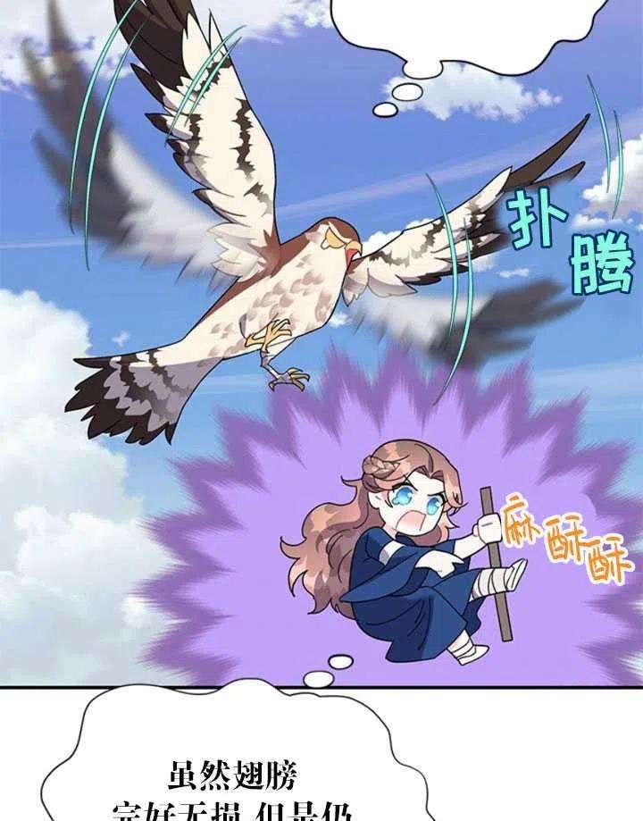 传令鸟公主殿下19话