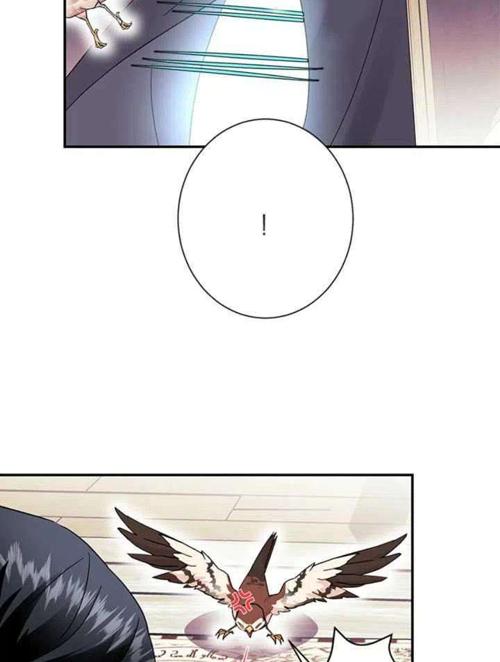 传令鸟公主殿下19话