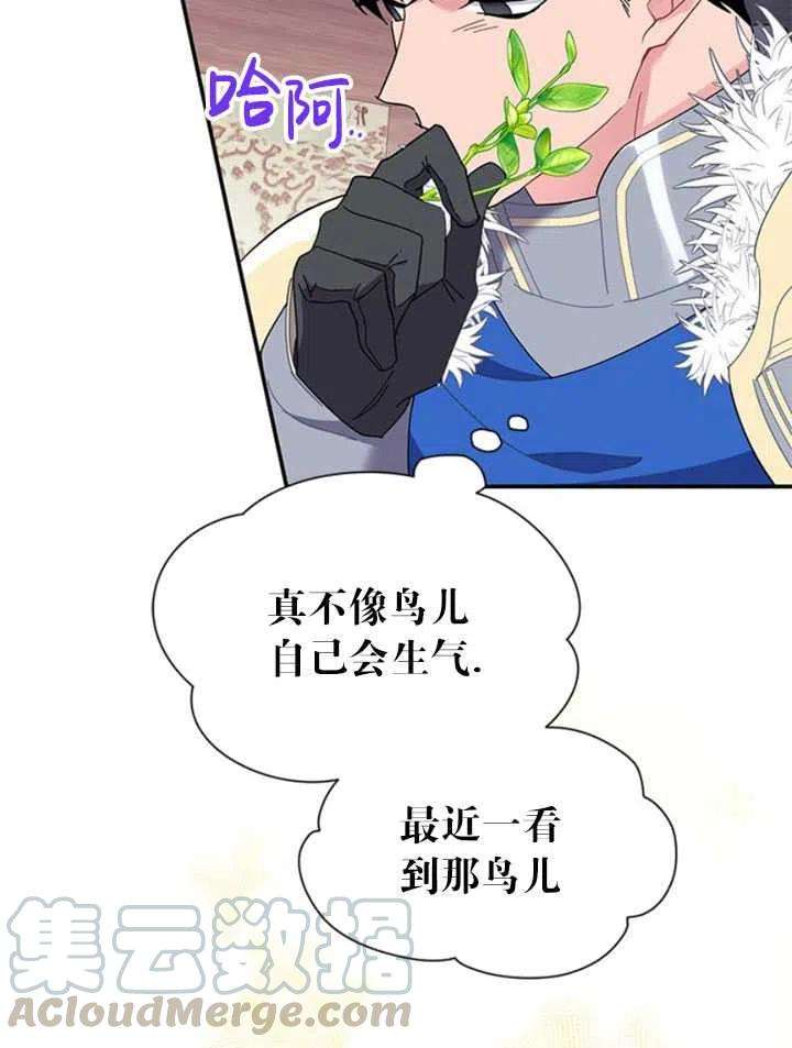 传令鸟公主殿下19话