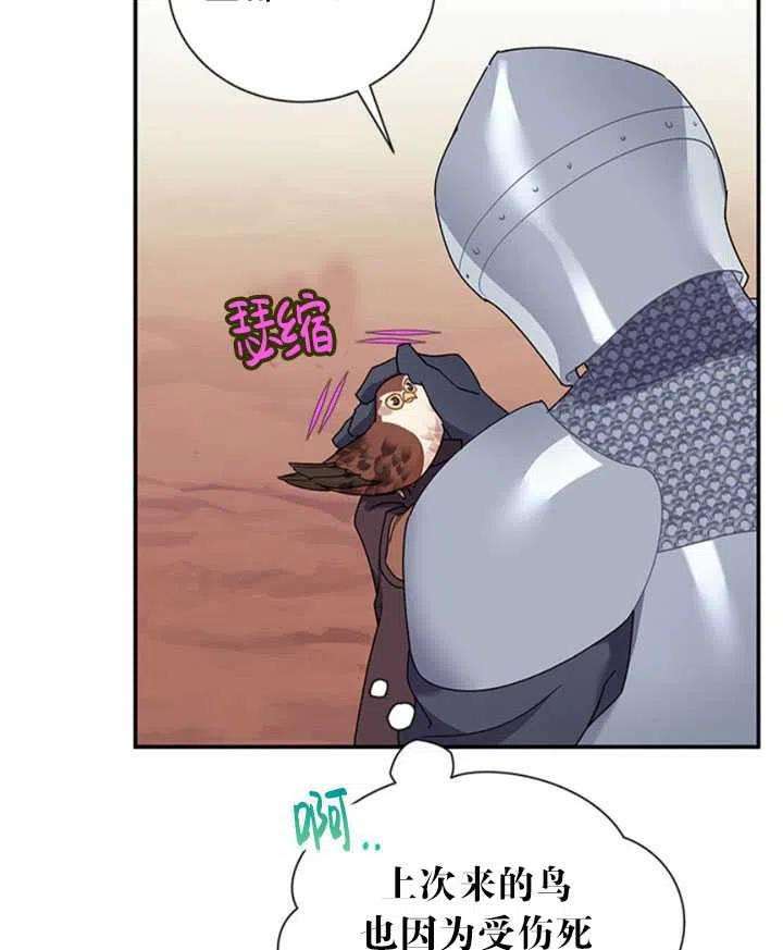 传令鸟公主殿下20话