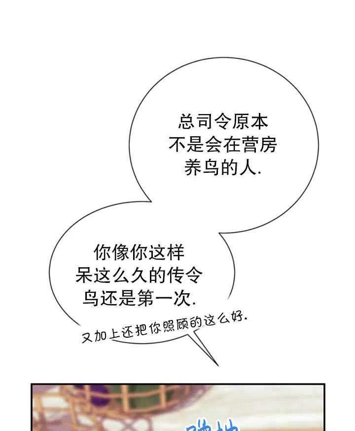 传令鸟公主殿下20话