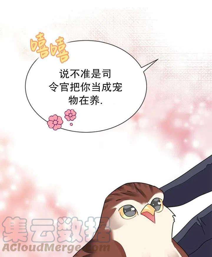 传令鸟公主殿下20话