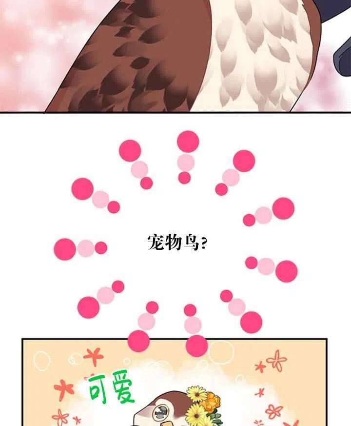 传令鸟公主殿下20话