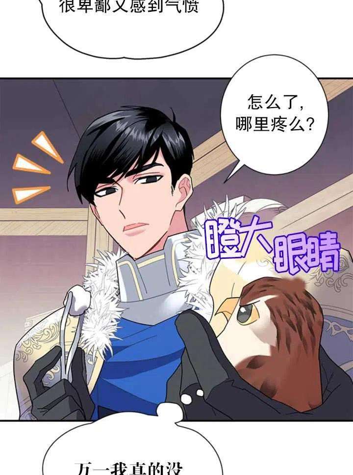 传令鸟公主殿下20话