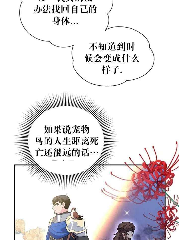 传令鸟公主殿下20话