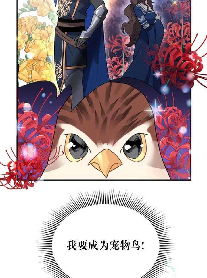 传令鸟公主殿下20话