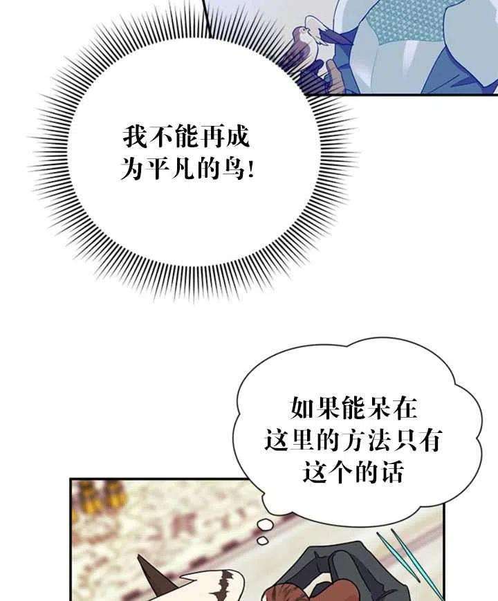 传令鸟公主殿下20话