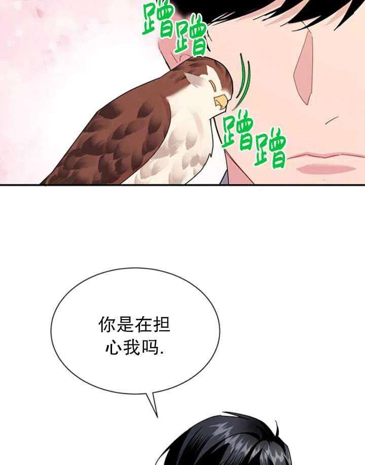 传令鸟公主殿下21话