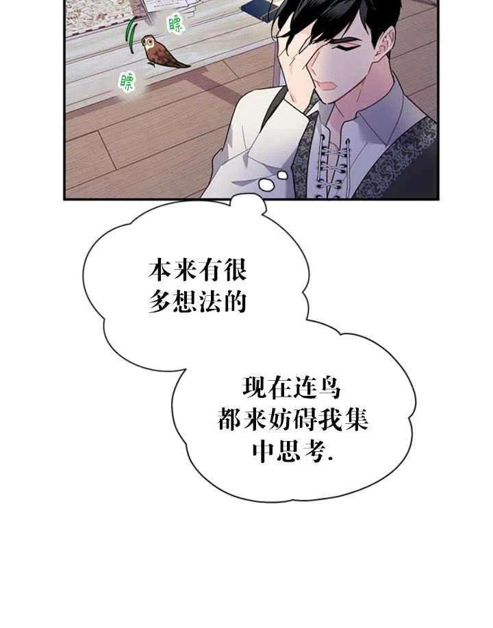 传令鸟公主殿下21话