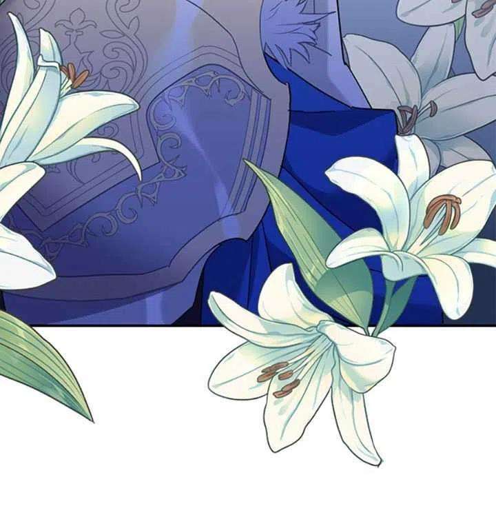 传令鸟公主殿下21话