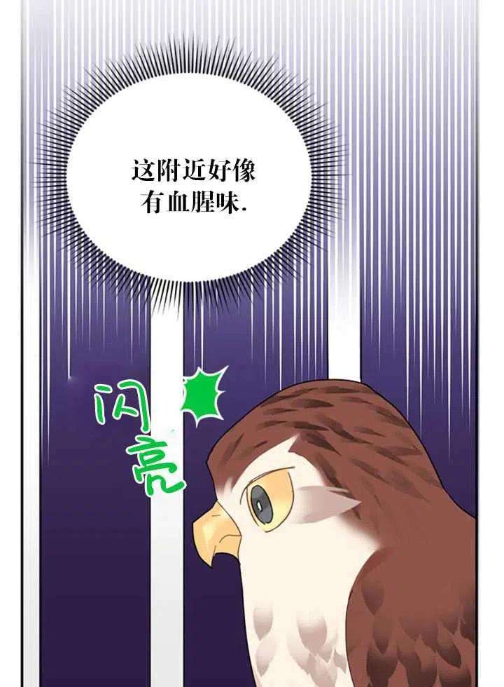 传令鸟公主殿下22话