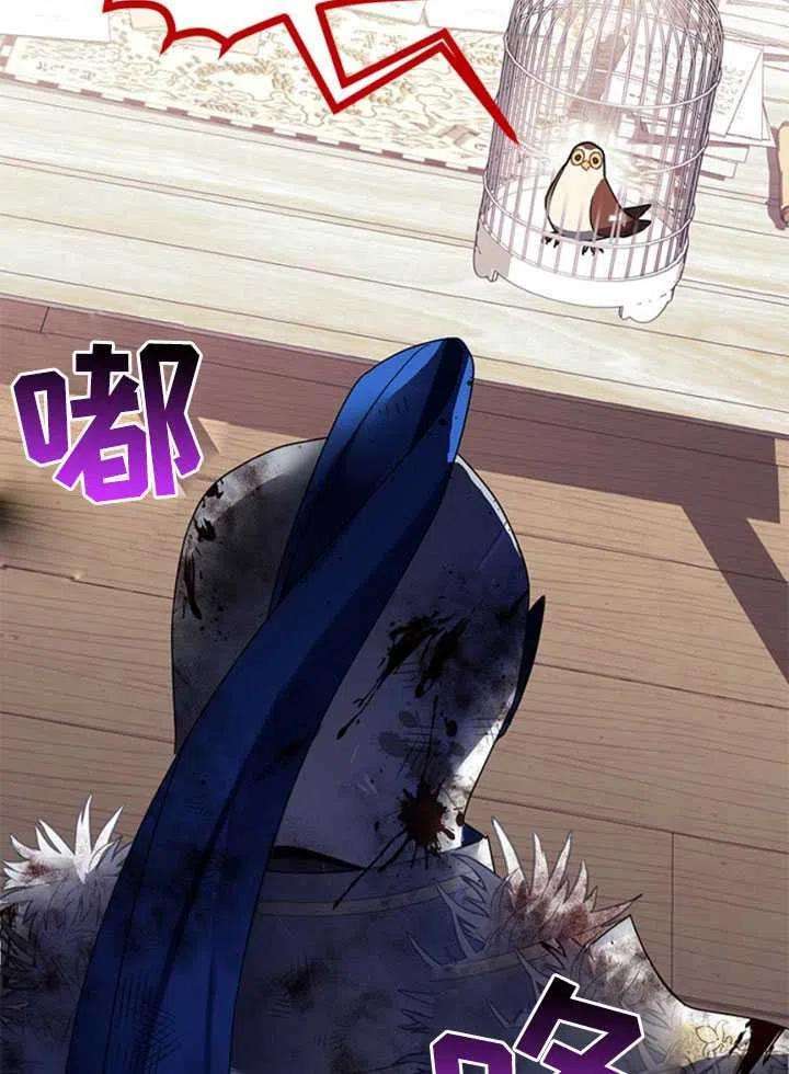 传令鸟公主殿下22话