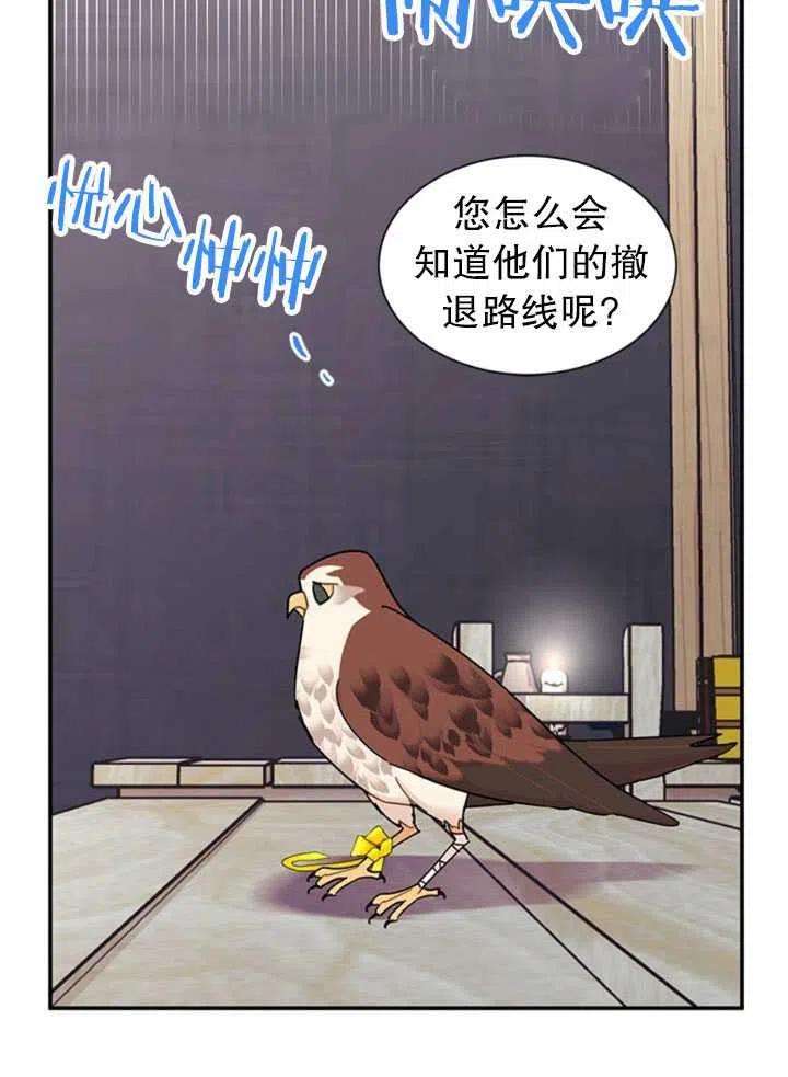 传令鸟公主殿下22话