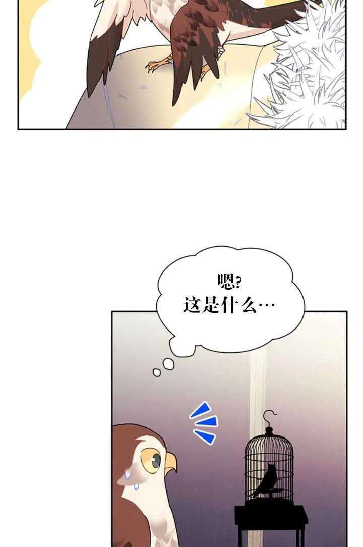 传令鸟公主殿下22话