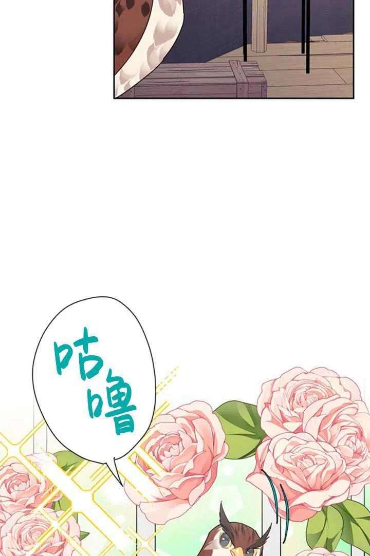 传令鸟公主殿下22话