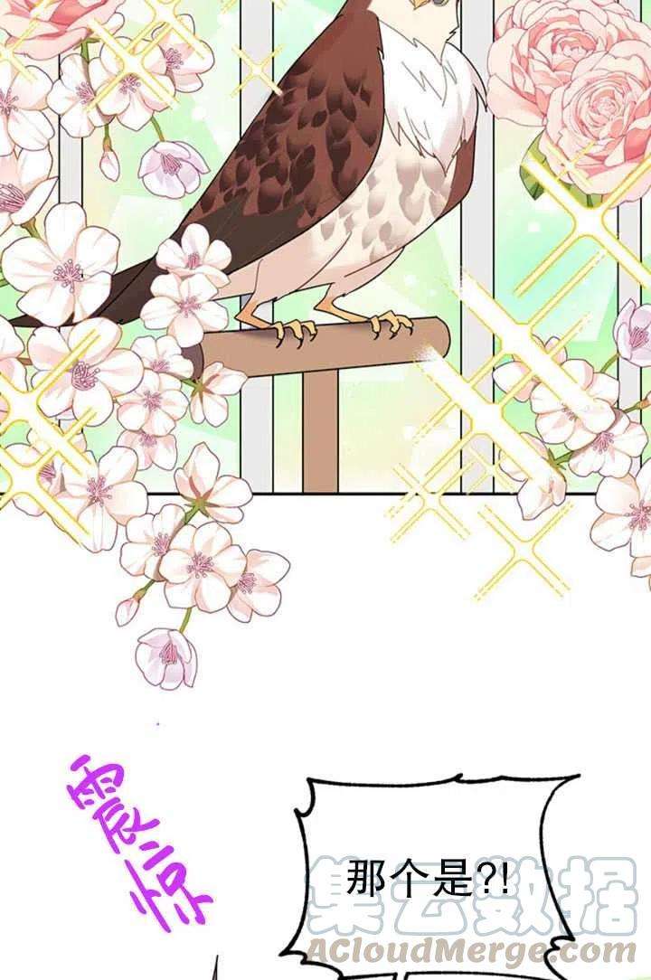 传令鸟公主殿下22话