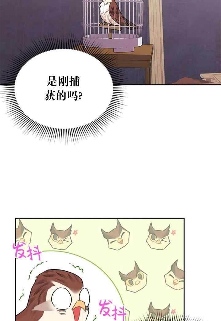 传令鸟公主殿下23话