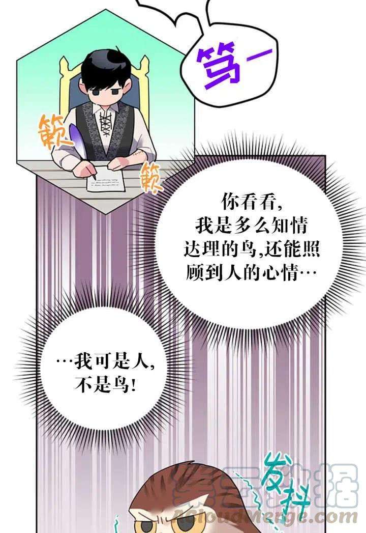 传令鸟公主殿下23话