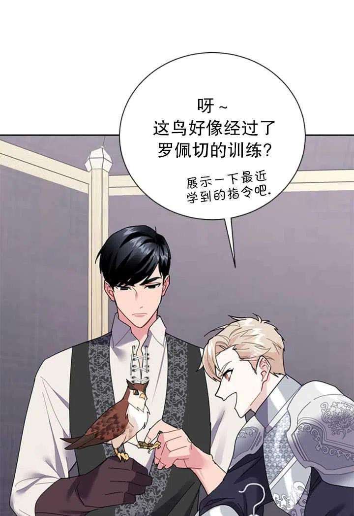传令鸟公主殿下23话