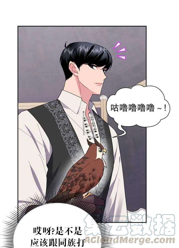 传令鸟公主殿下23话