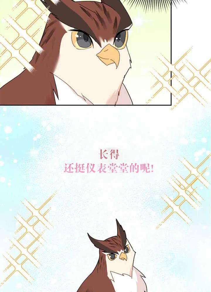 传令鸟公主殿下23话