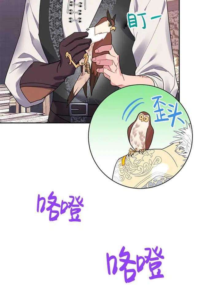 传令鸟公主殿下23话
