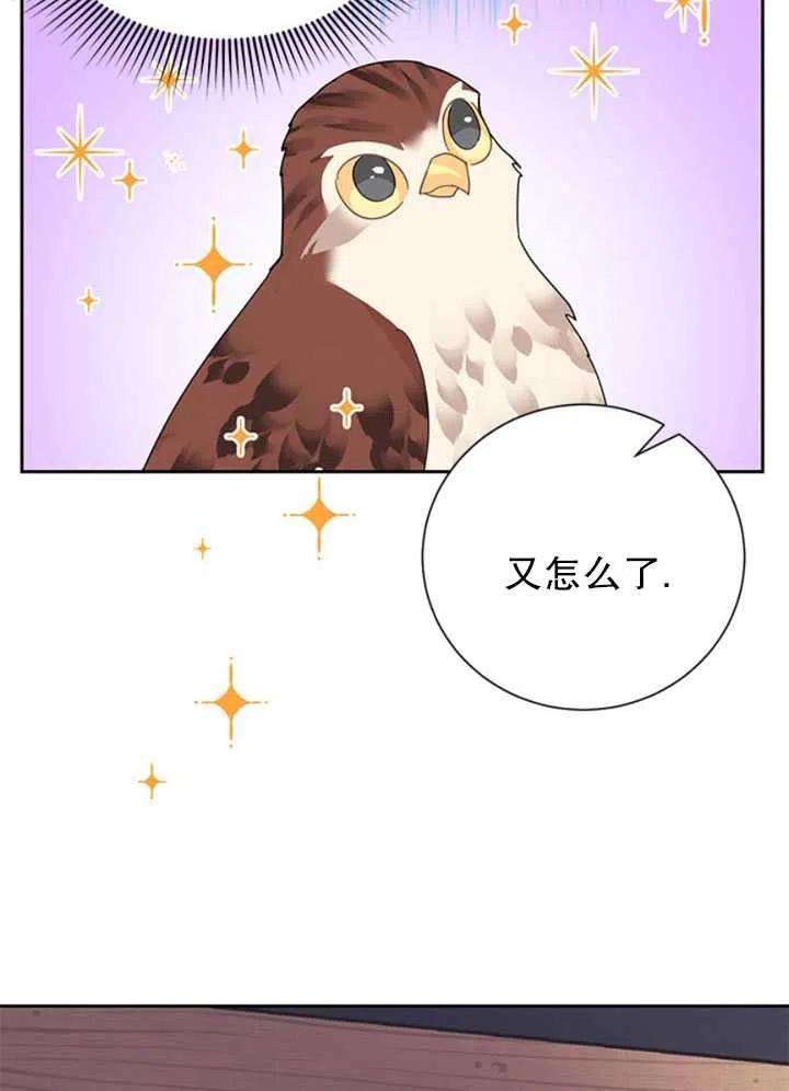 传令鸟公主殿下23话