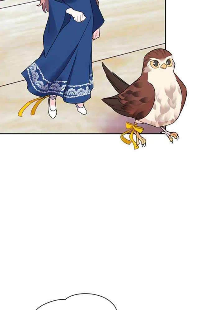 传令鸟公主殿下23话