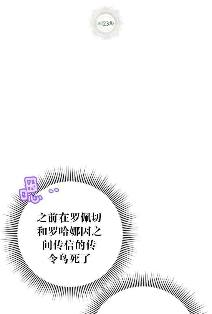传令鸟公主殿下23话