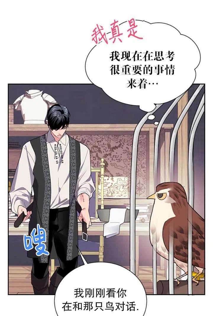 传令鸟公主殿下23话