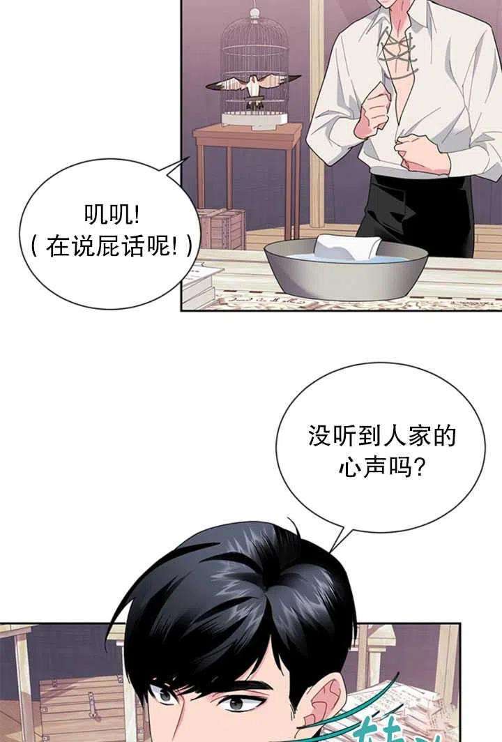 传令鸟公主殿下23话