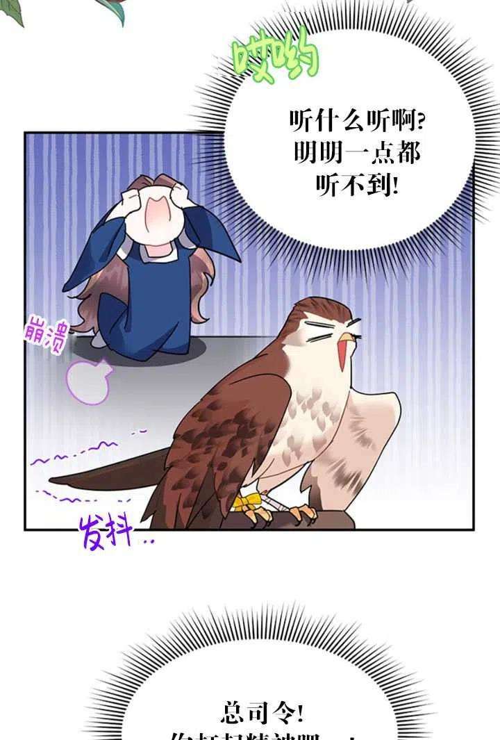 传令鸟公主殿下23话