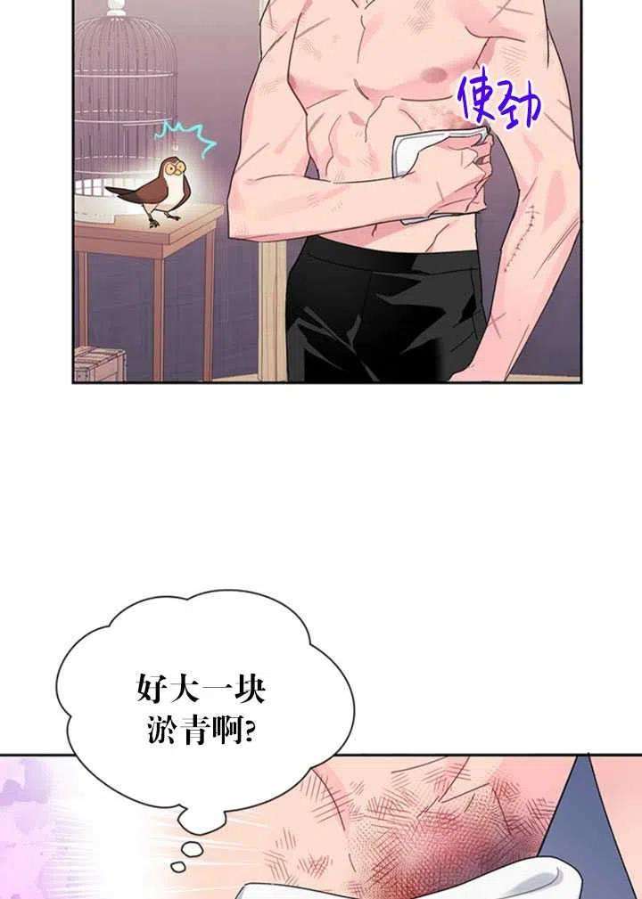 传令鸟公主殿下23话