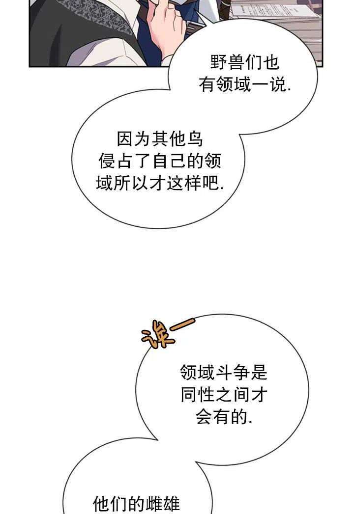 传令鸟公主殿下23话